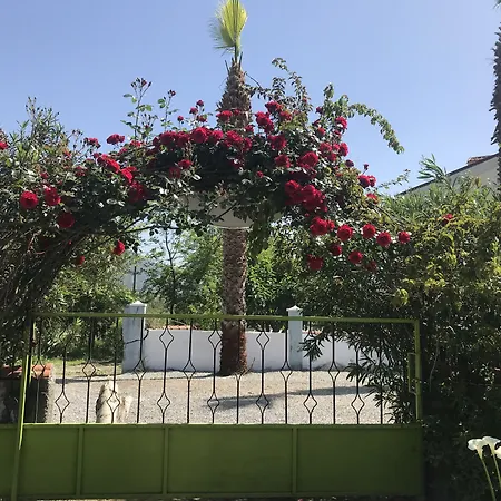 Yaprak Hotell Dalyan